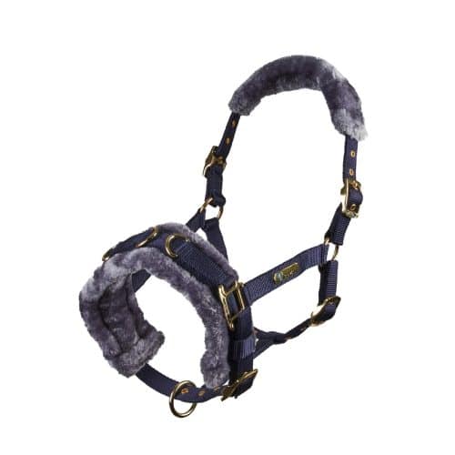 Fleece Lined Lunge Cavesson