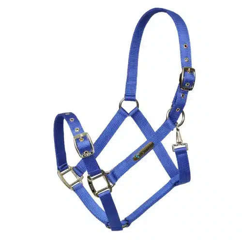 ARMA Adjustable Headcollar Blue