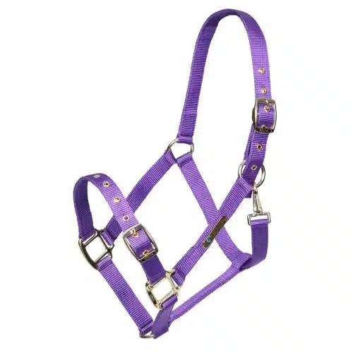 ARMA Adjustable Headcollar Purple