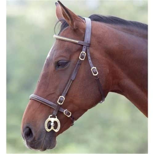 Blenheim Clincher Inhand Bridle