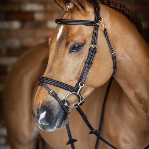 LeMieux Kudos Work Bridle