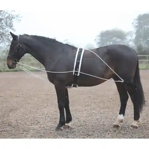 Lunging Aid