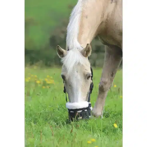 FreeGraze Deluxe Comfort Grazing Muzzle