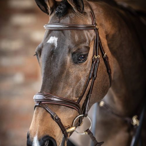 Kudos Competition Bridle