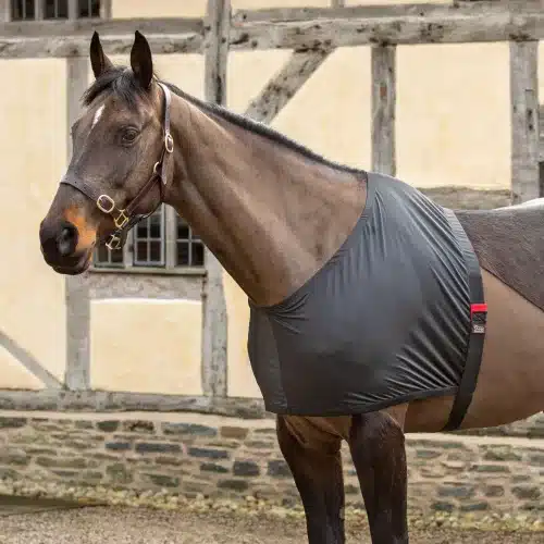 Anti Rub Stretch Vest