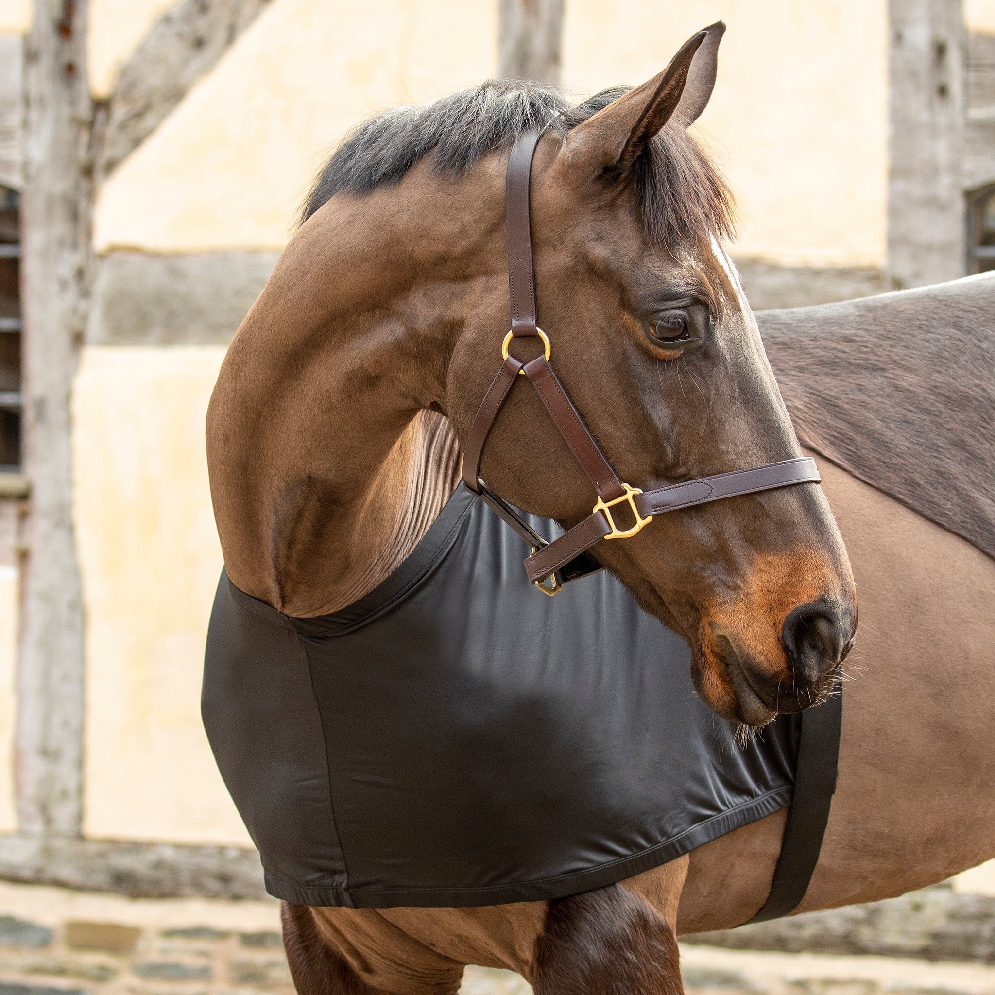 Anti Rub Stretch Vest - Image 3
