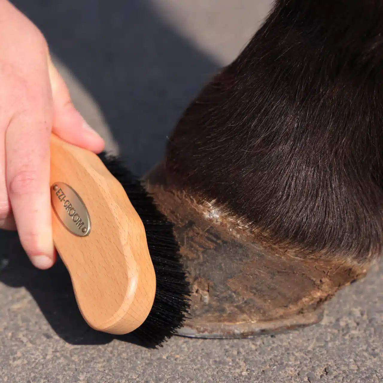EZI-GROOM Premium Hoof Brush