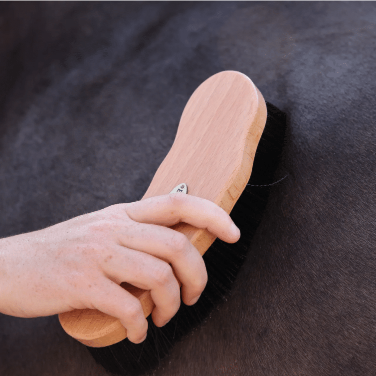 EZI-GROOM Premium Dandy Brush - Image 4