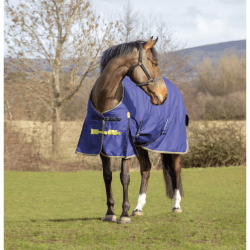 Asker 300g Standard Turnout Rug