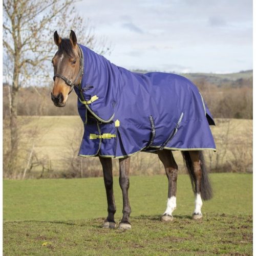 Asker 300g Combo Turnout Rug