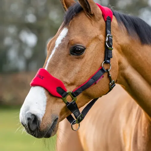 Le Mieux Vogue Headcollar & Leadrope Chilli