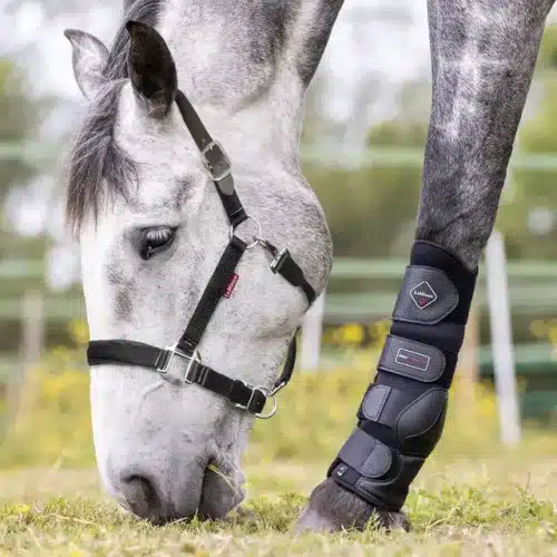 Break Away Headcollar Black